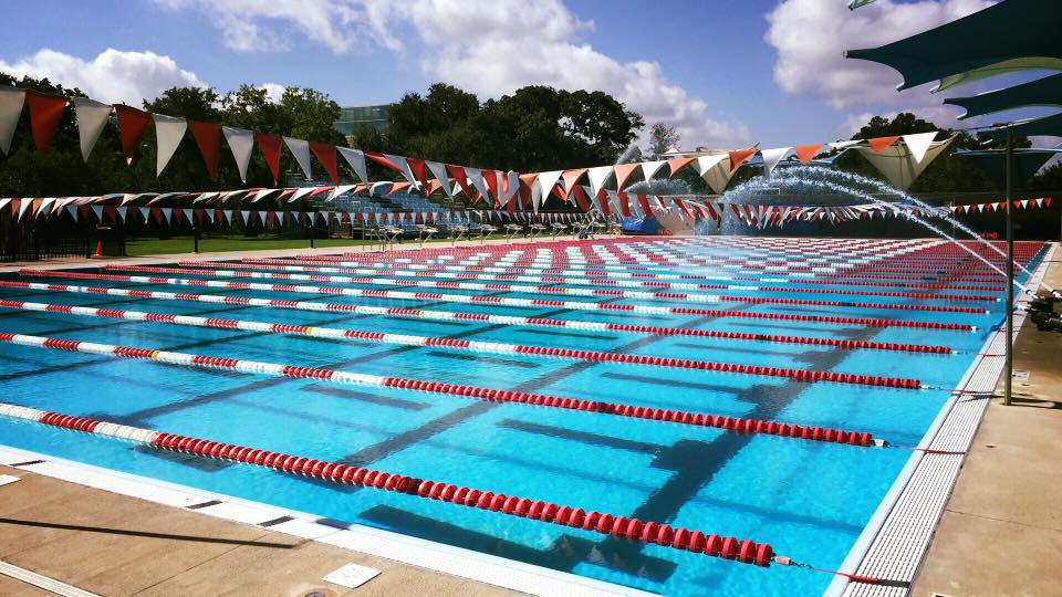 Piscina Austin Aquatics and Sports Academy - Travis County