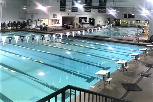 Piscina Dynamo Swim Club Alpharetta - Fulton County