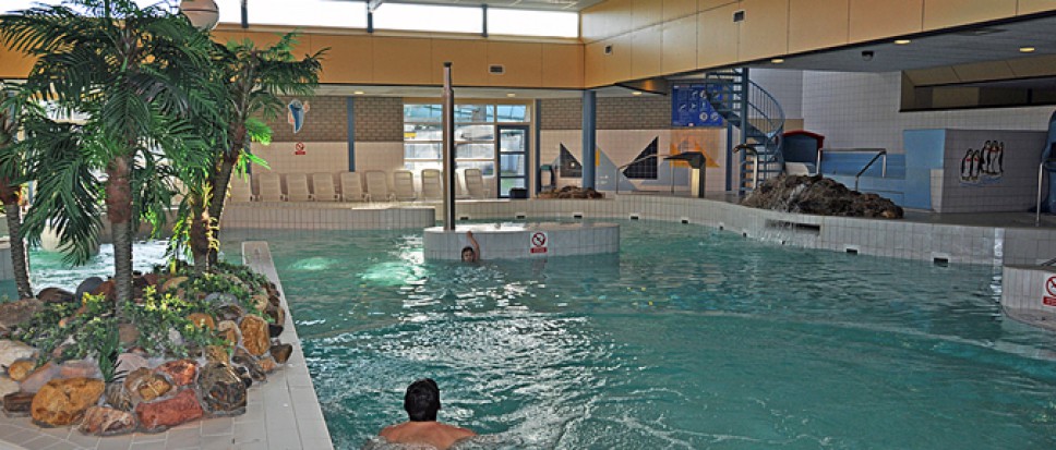 Piscina Laco Zwembad 't Wooldrik - Borne