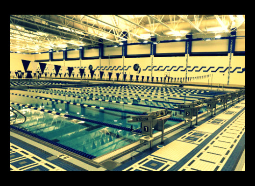 Piscina Lake Central Aquatic Center - Lake County