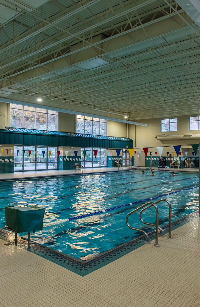 Piscina Larry Joe Harless Community Center - Mingo County