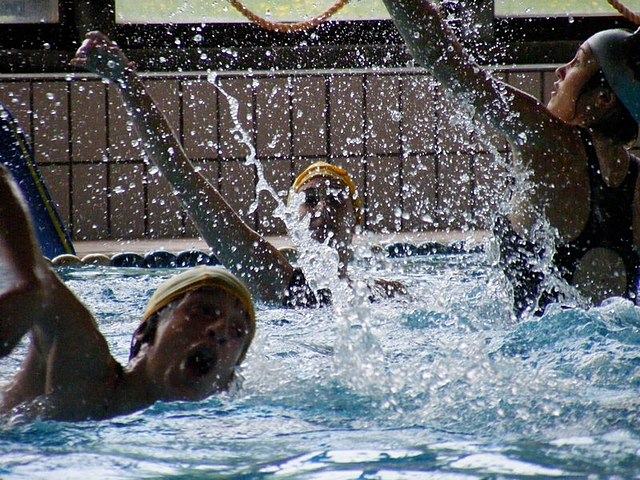 Piscina Palaghiaccio - Varese