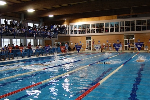 Piscina Piscina Cubierta Municipal «Los Alcores» - Alcala de Guadaira