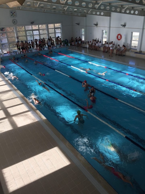 Piscina Piscina Municipal Coberta de Vouzela - Vouzela