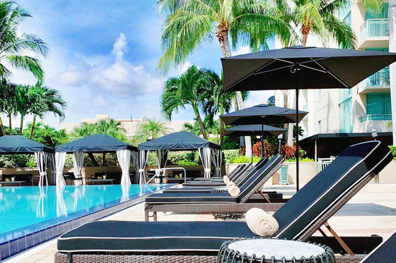 Piscina The Ritz-Carlton Coconut Grove - Dade County