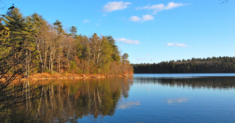 Piscina Walden Pond - Middlesex County