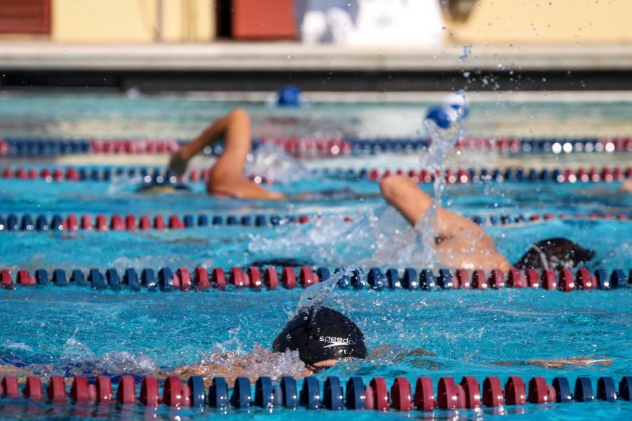 Piscina Warren Hawkins Aquatics Center / Gaines Park Pool - Palm Beach County