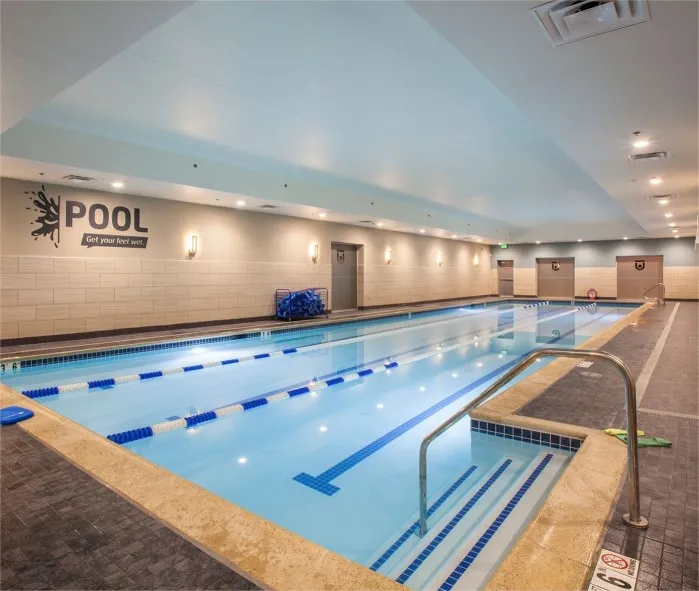 Piscina 24-Hour Fitness - Elgin & Louisiana Super-Sport Gym - Harris County