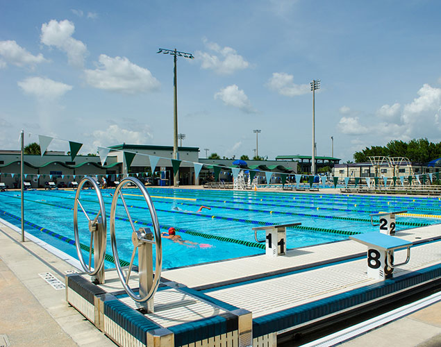 Piscina Florida Gulf Coast University Aquatics Center - Lee County