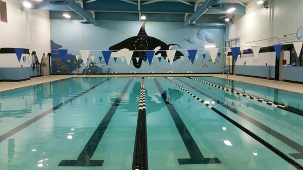 Piscina Greenville Aquatics & Fitness Center - Pitt County