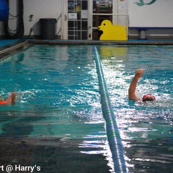 Piscina Harry's Dive Shop - Jefferson Parish