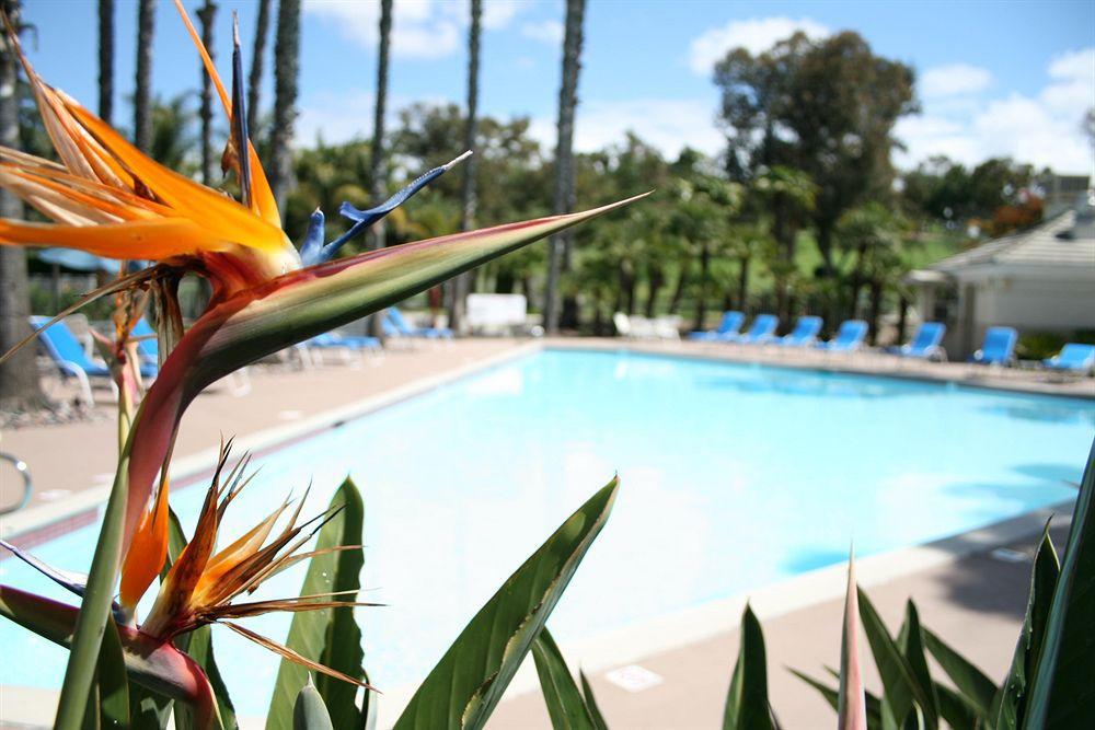 Piscina Hotel Karlan San Diego - a Doubletree by Hilton - San Diego County