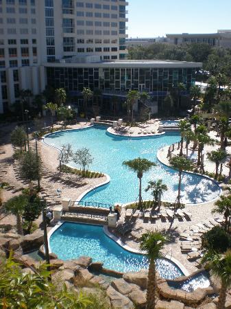 Piscina Hyatt Regency Orlando - Orange County