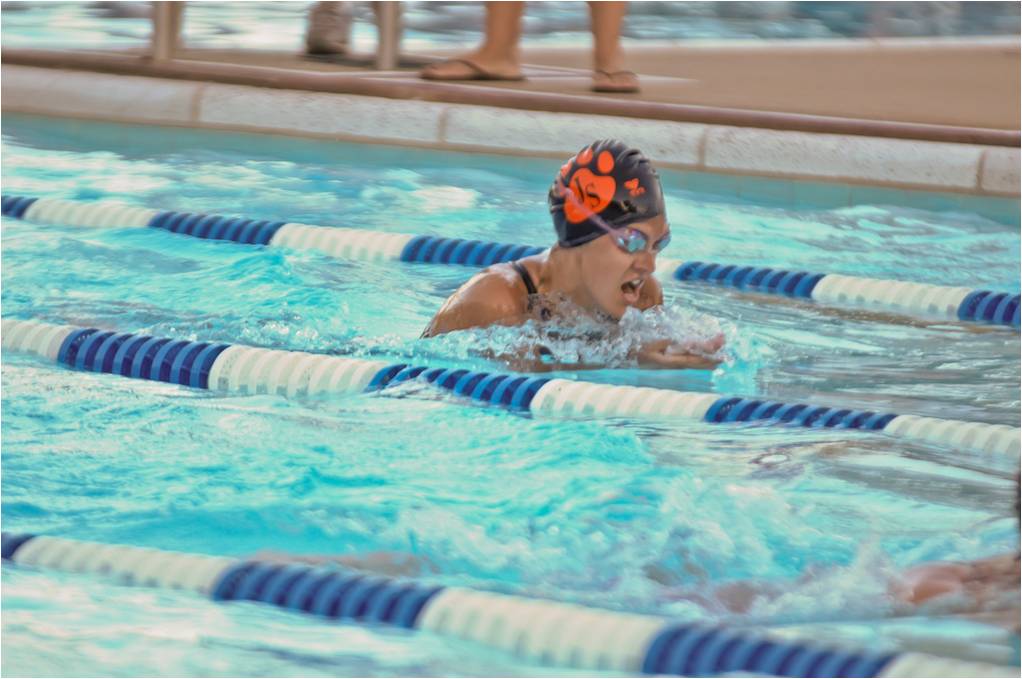 Piscina Jersey Shore Area High School Swimming Pool - Lycoming County