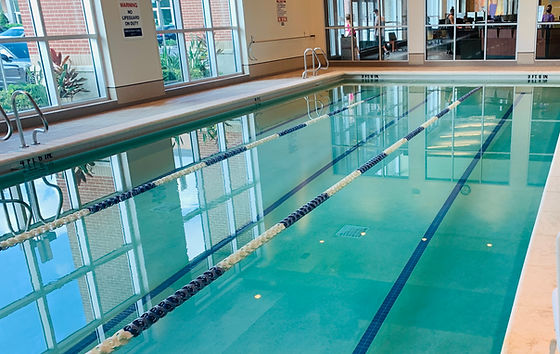 Piscina LA Fitness - Palm Harbor - Pinellas County