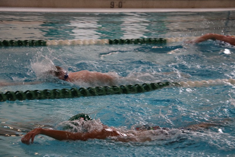 Piscina Lake Orion Natatorium - Oakland County