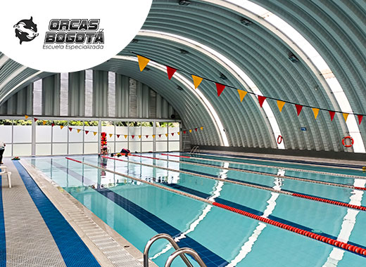 Piscina Orcas Escuela de Natación - Celaya