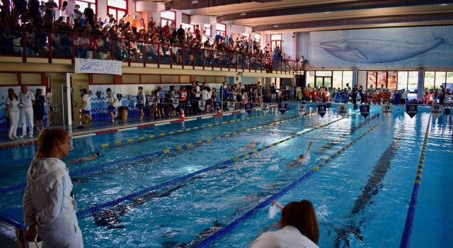 Piscina Palazzetto dello Sport di Camaiore - Camaiore