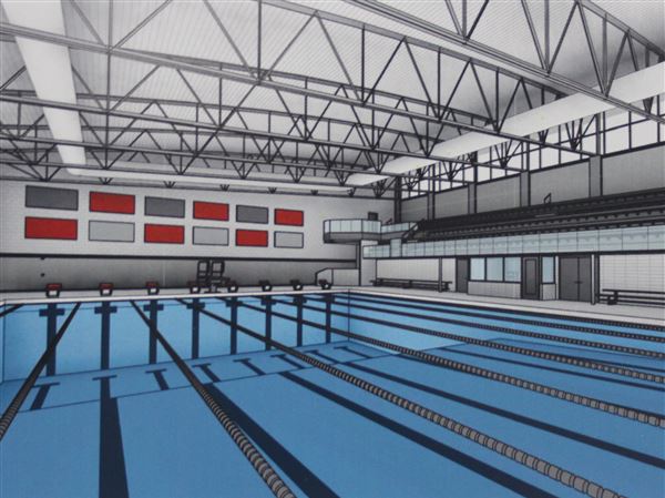 Piscina Peters Township High School Swimming Pool - Washington County