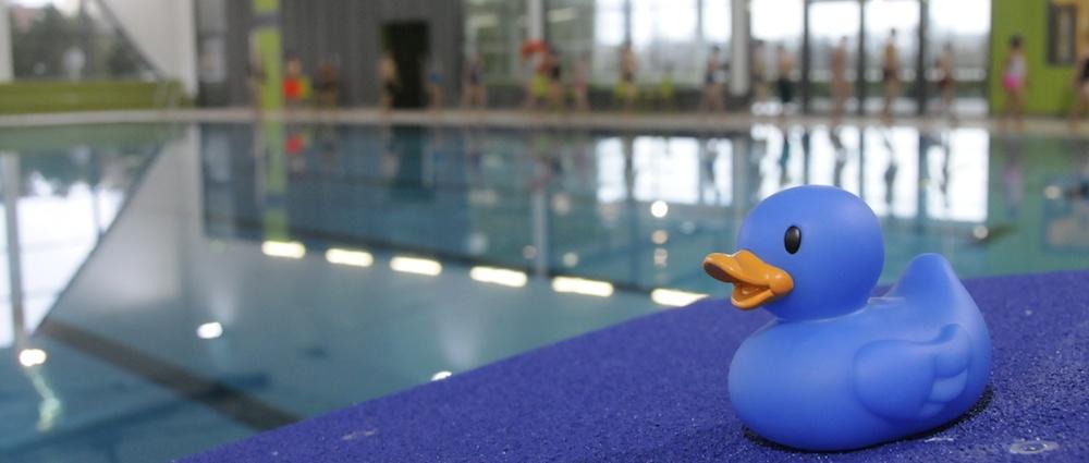 Piscina Schwimmhalle auf dem Großen Dreesch - Schwerin