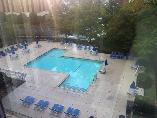 Piscina Sheraton Framingham Hotel & Conference Center - Middlesex County