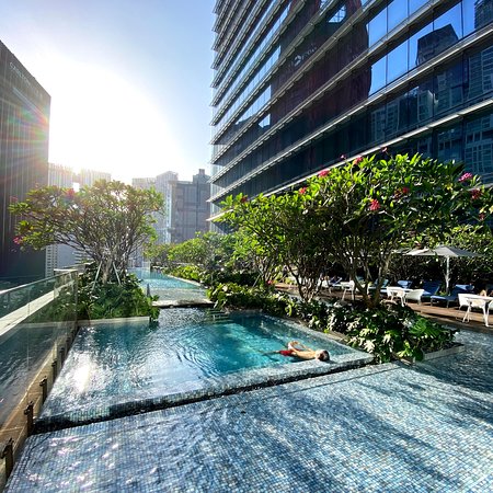 Piscina Sofitel Singapore City Centre Hotel - Singapore