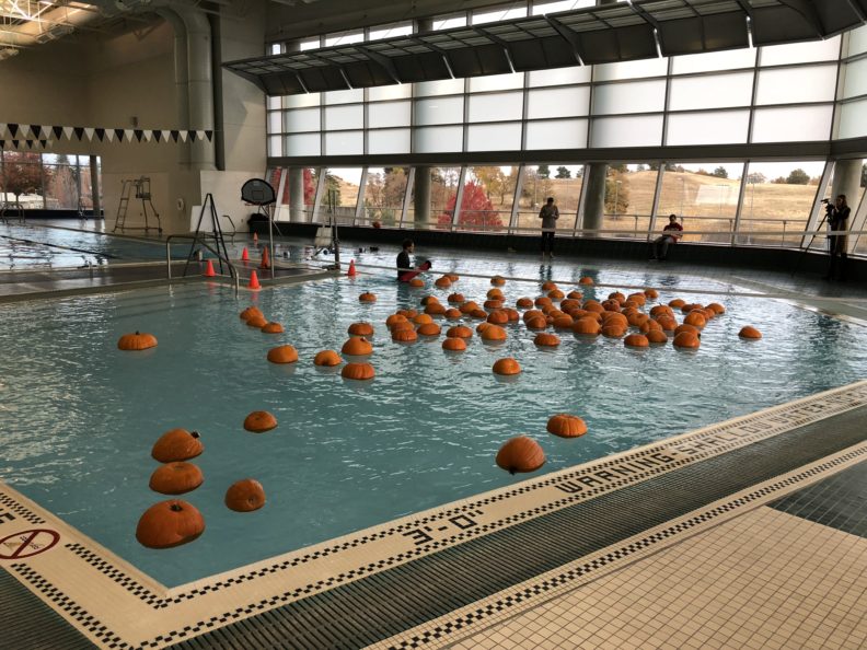 Piscina Student Rec Center (SRC) Natatorium - Washington State University - Whitman County