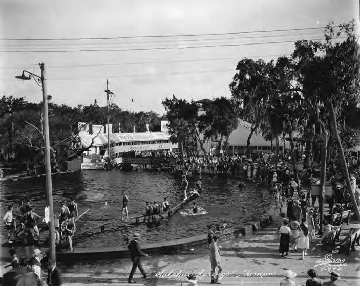 Piscina Sulphur Springs Pool - Hillsborough County