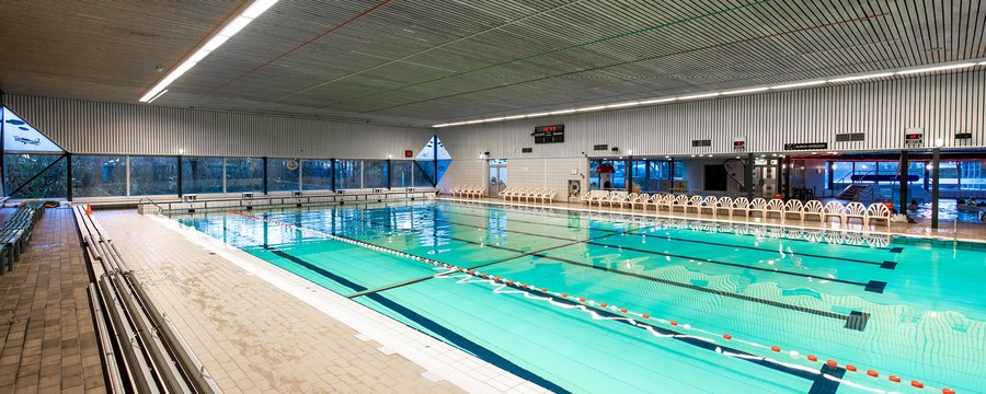 Piscina Zwembad de Hooghe Waerd - IJsselstein