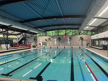 Piscina Zwembad Reeshof Tilburg - Tilburg