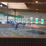 Piscina Zwembad Ter Wallen - Merelbeke